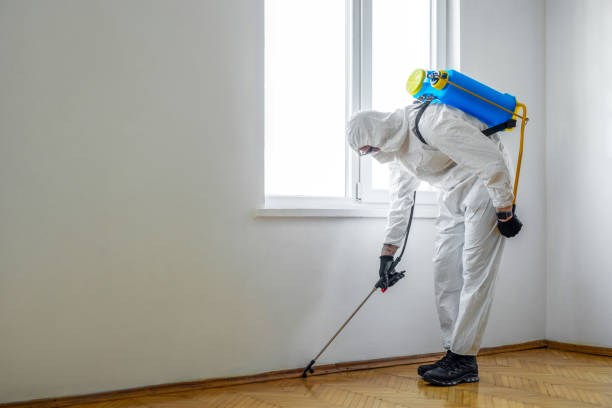Best Wildlife Control Services  in Picayune, MS